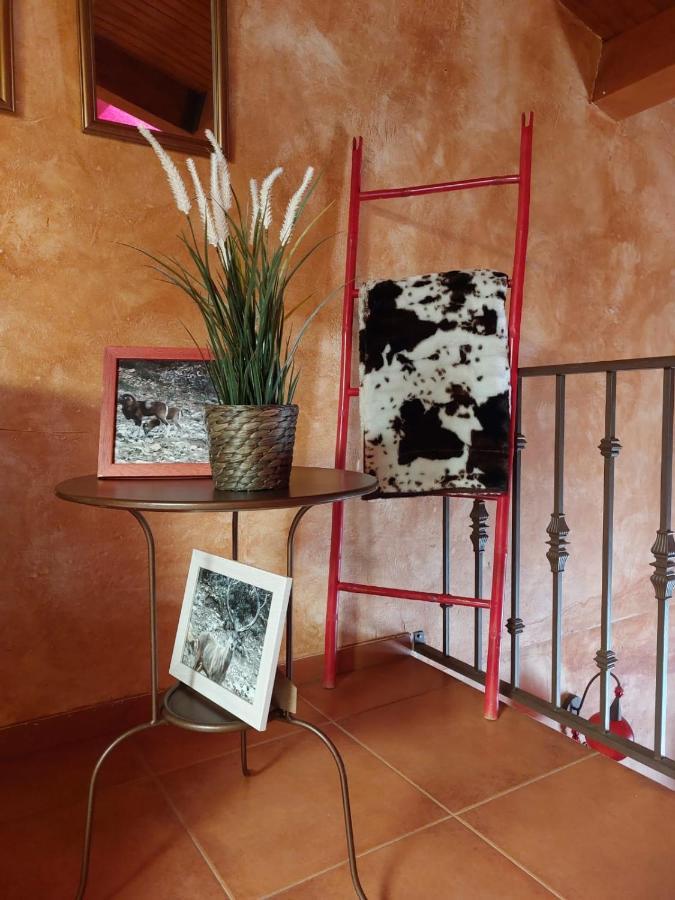 El Atico De Mijares Guest House Bagian luar foto