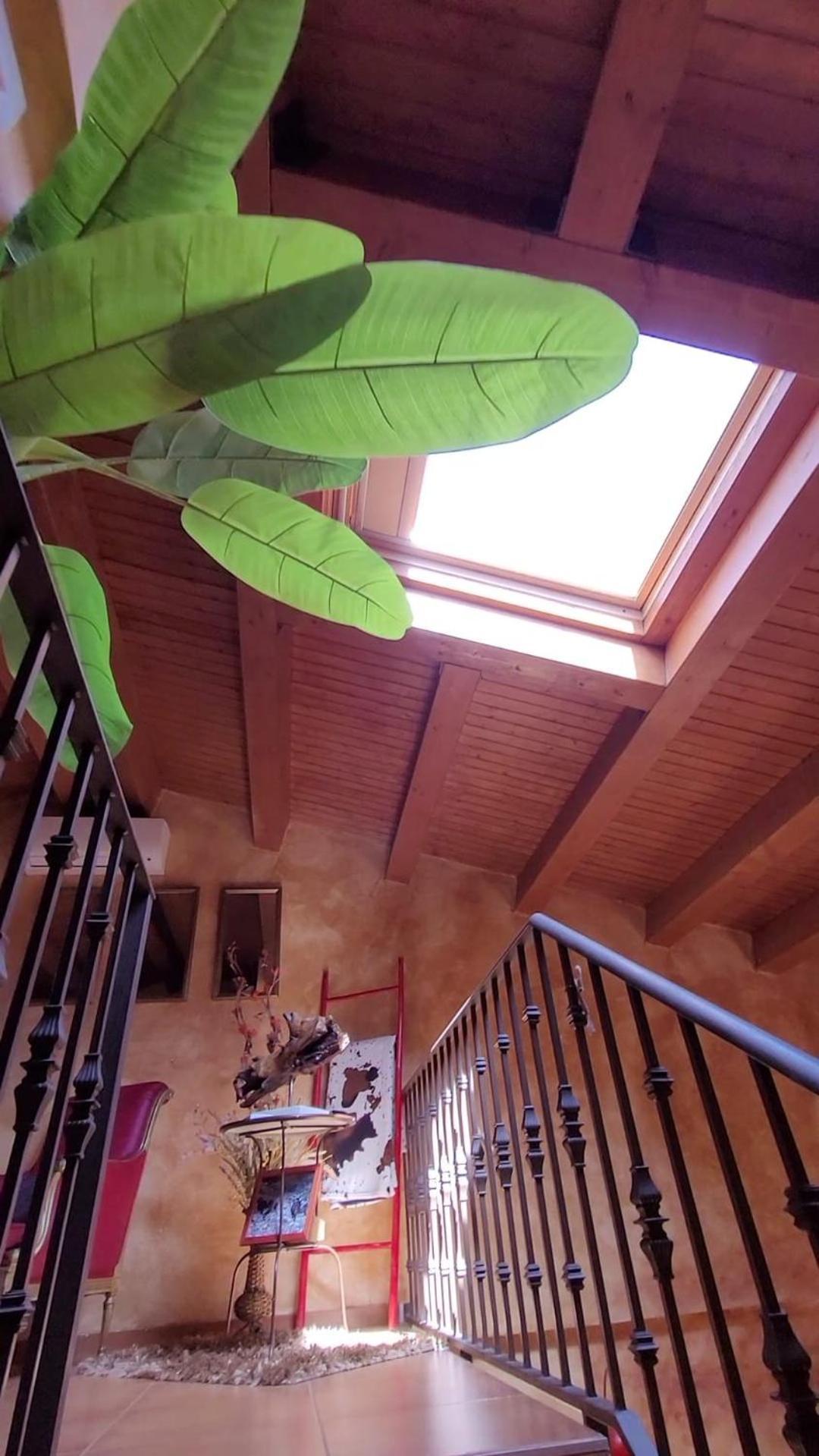 El Atico De Mijares Guest House Ruang foto